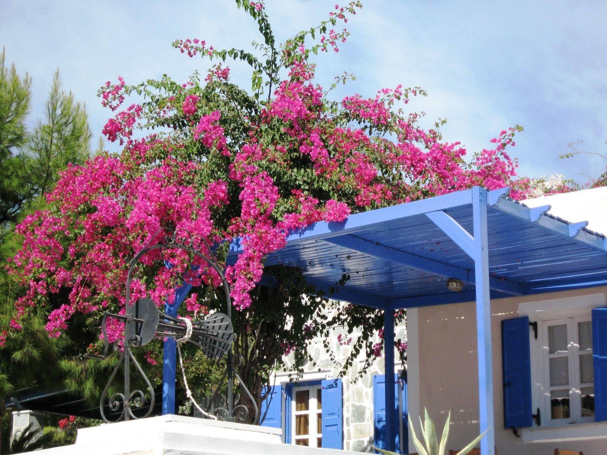 Paradise Resort Akrotírion Esterno foto